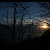 20050310_IMG_453